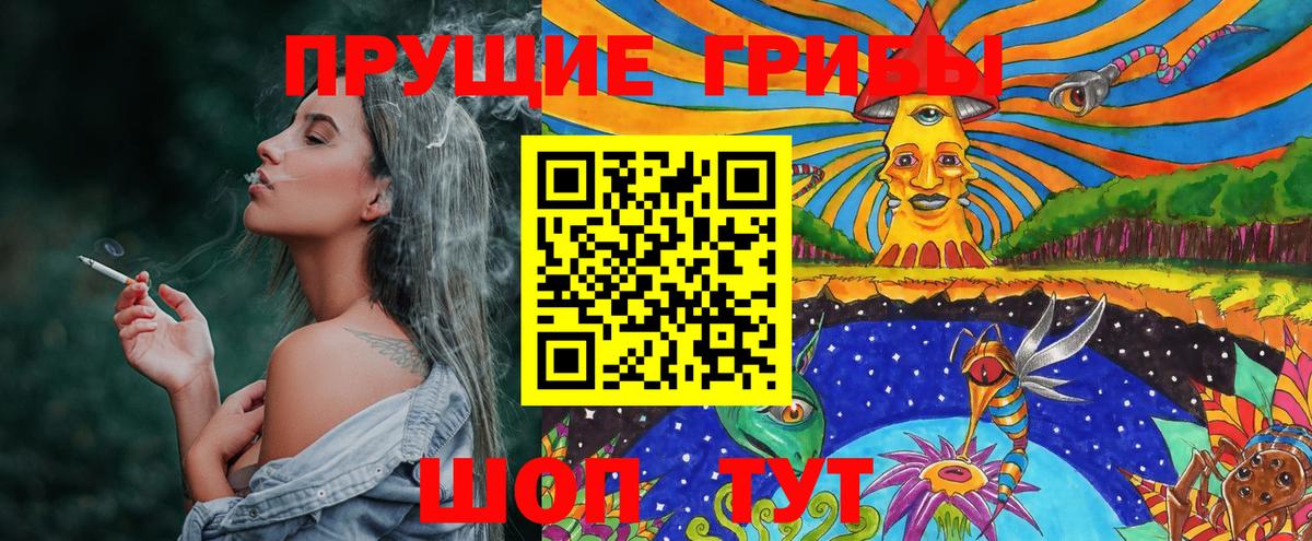 Галлюциногенные грибы MAGIC MUSHROOMS  закладки  Вход с VPN  Камышин  Галлюциногенные грибы ЛСД 