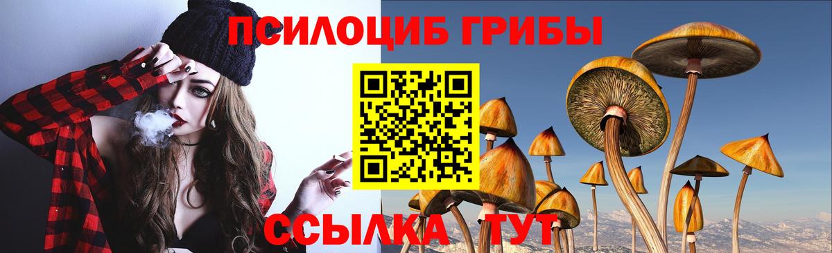 Галлюциногенные грибы мухоморы Камышин